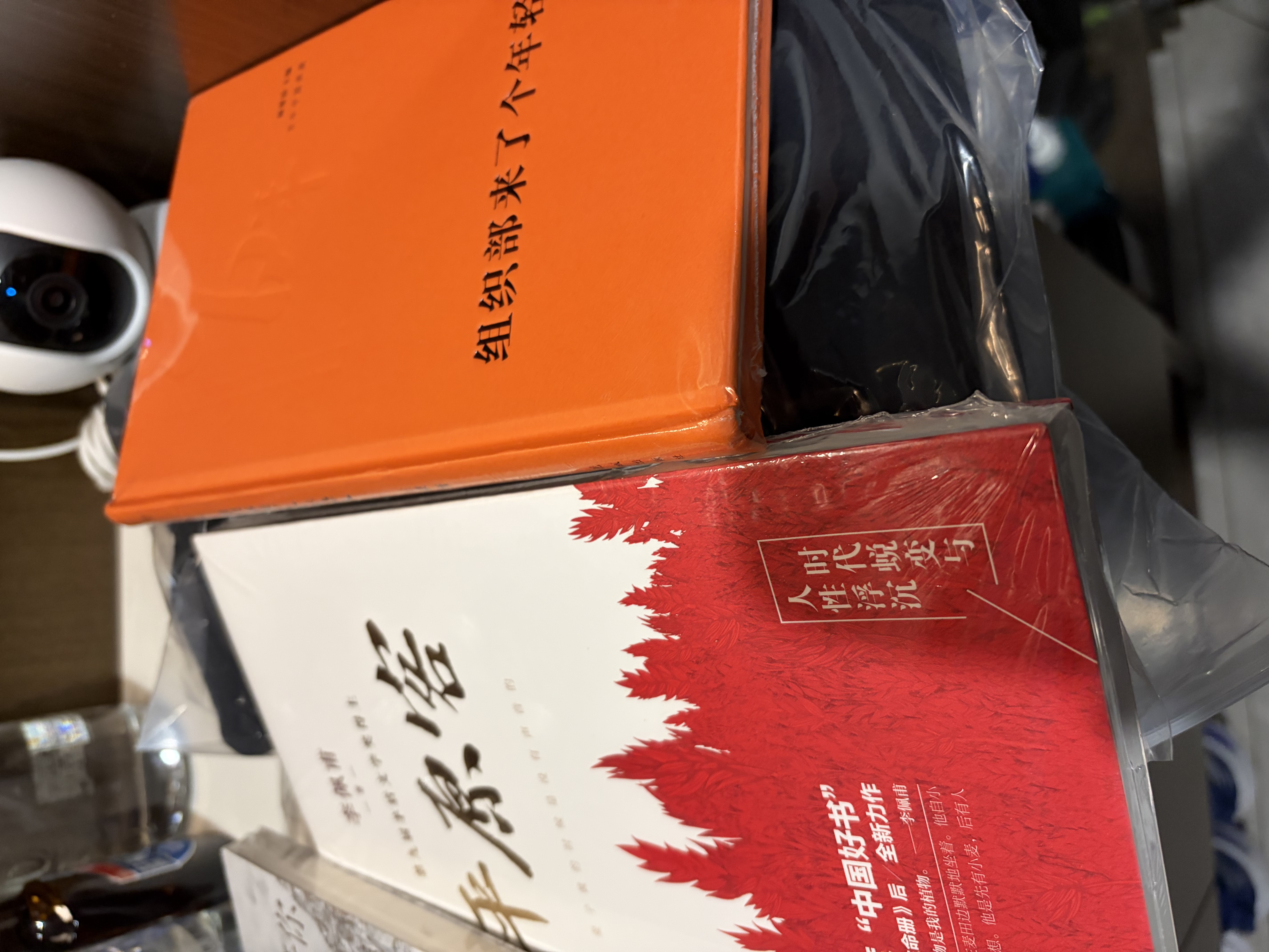 史铁生 总有路在等你（史铁生等名家的人生悲喜书，不知道命运是什么，才知道什么是命运）  中南传媒 实拍图