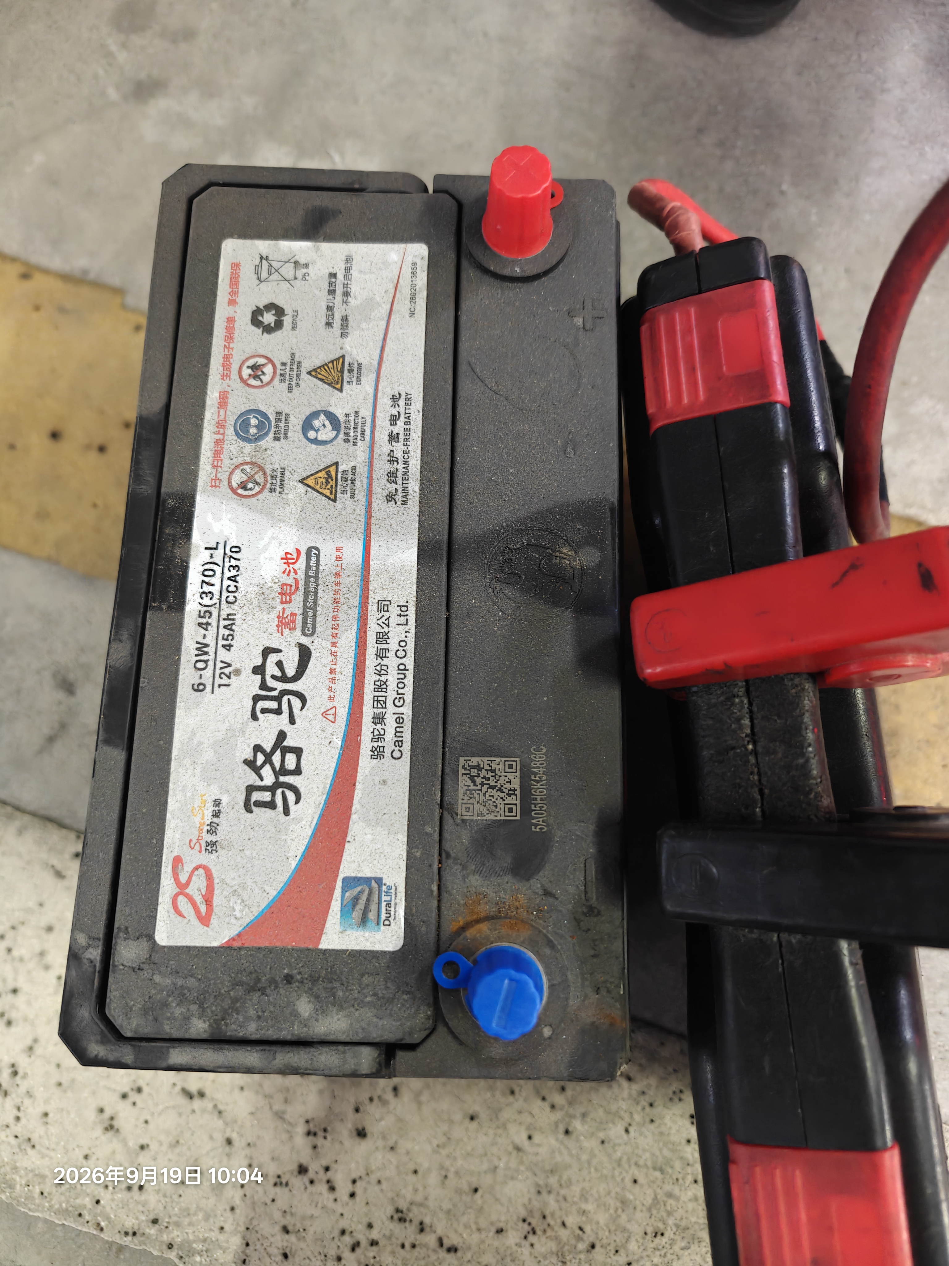 瓦尔塔（VARTA）京东养车汽车保养电瓶蓄电池55B24L日产逍客骐达颐达阳光轩逸思域 实拍图