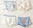 棉奇熊男童内裤儿童棉a类平角裤小男孩四角短裤小童长绒棉男宝宝中大童 实拍图