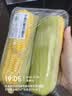 【火锅季】黄粒甜玉米约850g 实拍图