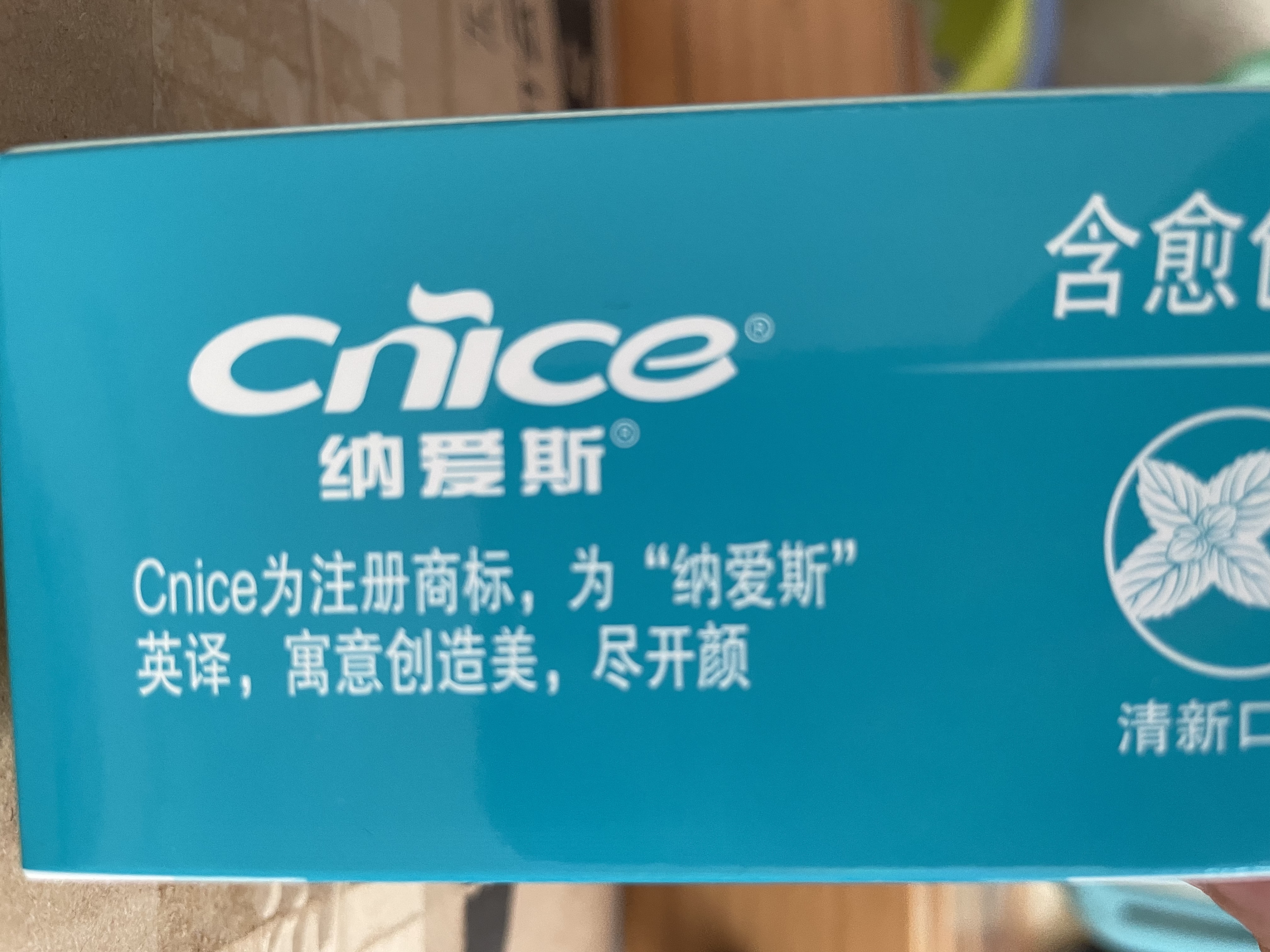 纳爱斯牙膏清新口气去异味去牙渍烟渍软垢下火护龈成人清凉冰菊牙膏120g 实拍图