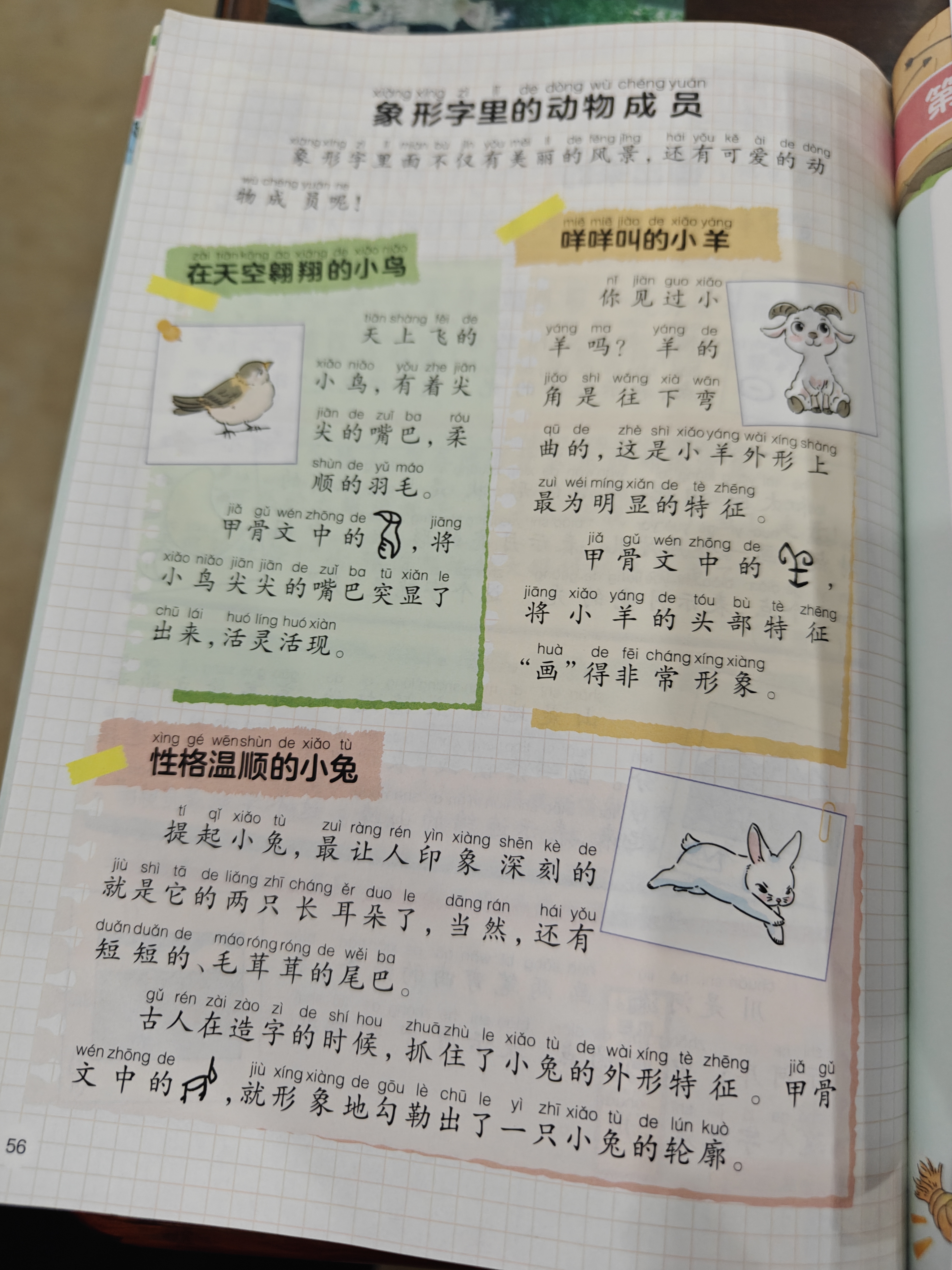 一本小学生半小时晚读一年级上学期（全4册）2026秋语文阅读作文同步教材主题免费音频好词好句费曼 开学季 实拍图