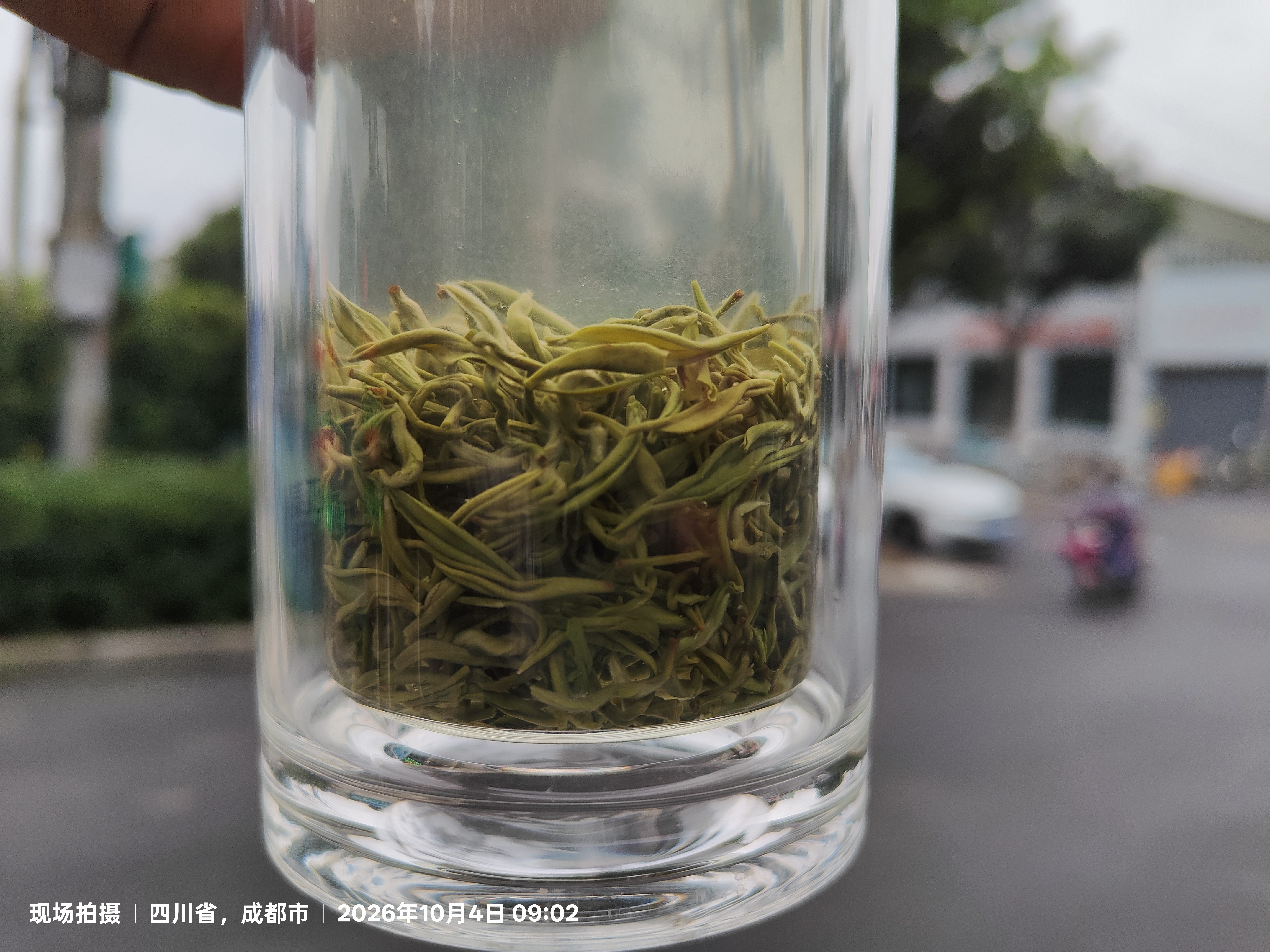 福茗源绿茶叶 苏州碧螺春 特级明前2026新茶春茶嫩芽茶叶礼盒送长辈250g 实拍图