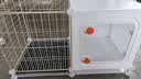宠趣汇小狗笼子小型犬家用带厕所分离一室一卫狗窝宠物博美比熊泰迪专用 托盘款 |71*36*43| 5斤内 基础套餐：狗笼+网架厕所+脚垫+抽屉/托盘 实拍图