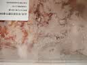 七鲜进口原切肥牛卷500g（含筋） 实拍图