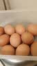 都尔霍姆 有机鸡蛋10枚丹麦品牌有机散养新鲜鸡蛋土鸡蛋宝宝蛋 实拍图
