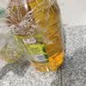金龙鱼 食用油 非转基因 物理压榨不油腻轻年玉米油4L 实拍图