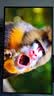 AOC爱攻昊天Max 32英寸 WOLED 4K240Hz双模480Hz HDR500 DP2.1 16W音箱 电竞显示器 AGP327UZD叠曜版 实拍图