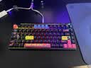 ROG魔导士Ace 75HE V2X有线游戏键盘 磁轴键盘HFX V2X磁轴RT0.01电竞机械键盘小蜜蜂冠军战队同款黑色 实拍图