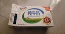 伊利【新鲜日期】纯牛奶250ml*21盒 3.3g优质乳蛋白早餐奶8-10月产 实拍图