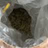 丙田 海南鹧鸪茶礼盒280g 海南茶叶球蟅鸪老爸早凉茶非三亚鹧鸣特咕茶 实拍图