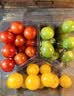  【安心菜】供港基地多彩便当番茄400g  实拍图