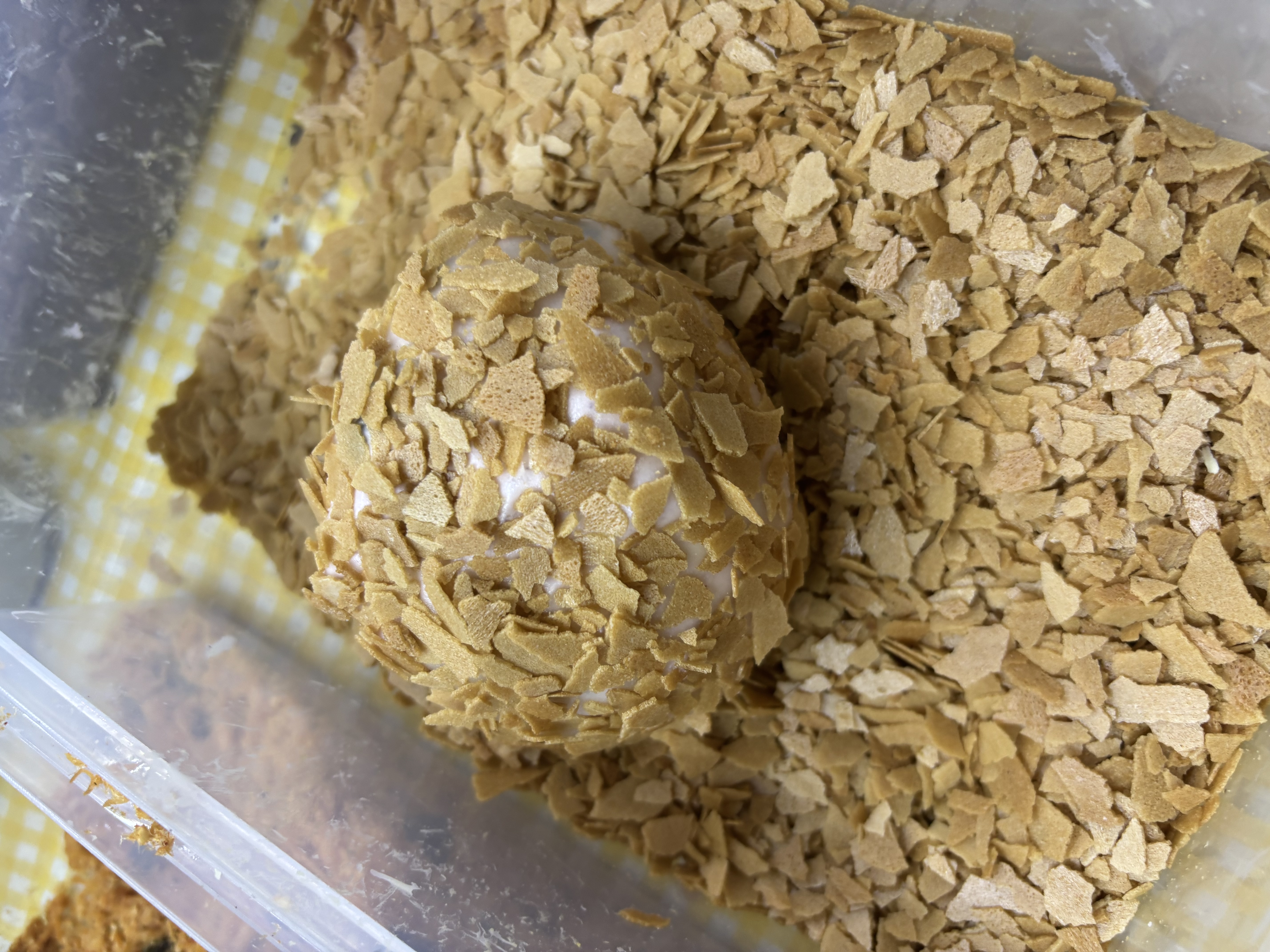 奥克斯（AUX）厨师机家用智能和面机定时免看管揉面机10L多功能可商用打蛋器2000W搅拌机SC-623EC 实拍图