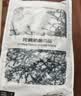 金号 A类纯棉抗菌枕巾加大加厚枕巾单条装  优雅水墨画 防螨防霉防臭 实拍图