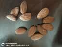 天虹牌巴旦木仁原味450g大杏仁扁桃仁孕妇每日坚果休闲零食干果早餐必备 实拍图