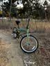 大行（DAHON）D6折叠自行车20英寸6速成人休闲单车 KBC061 青草绿 20英寸 实拍图