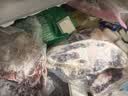 龙大肉食 黑猪肋排块净重4斤 免切排骨块 （含软骨）猪肉生鲜 烧烤食材 实拍图