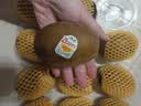 佳沛（zespri）新西兰金奇异果猕猴桃 5粒装 单果约88-103g 水果源头直发 实拍图