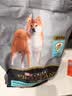 冠能狗粮消化舒适成犬狗粮全价2.5kg 天然益生元配方 改善肠胃敏感 实拍图