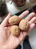 楼兰蜜语京觅甄选新疆薄皮核桃2.5kg/箱原味纸皮送礼礼盒坚果特产零食 实拍图