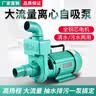 法耐（FANAI）家用污水自吸泵离心泵抽水机高扬程大流量水泵井水化粪池清污两用 【加大叶轮】750W 快速抽水 2寸220V 实拍图