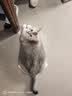麦富迪猫粮 barf霸弗天然猫粮冻干生骨肉高蛋白成猫粮养胃增肌牛肉5.4kg 实拍图