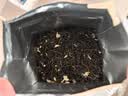 京东京造茉莉花茶茉莉映雪250g纸包飘雪春茶茶叶绿茶自己喝性价比 实拍图