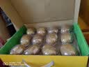 佳沛（zespri）新西兰金奇异果12粒特大果124-146g猕猴桃水果礼盒 实拍图