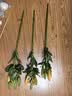 吉米鹿稀有橙色百合花鲜花【橙色10朵+送2朵】云南基地鲜切花束源头直发 实拍图