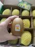 佳沛（zespri）新西兰金奇异果12粒特大果124-146g猕猴桃水果礼盒 实拍图