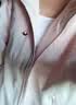 骆驼（CAMEL）CamelTex户外御寒冲锋衣男女同款防油污外套三合一登山服  M 实拍图