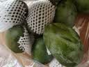 京鲜生四川攀枝花凯特芒果 净重8斤装 单果300g起 生鲜水果 源头直发 实拍图