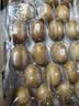 佳沛（zespri）新西兰金奇异果22粒巨大原箱146-175g猕猴桃水果礼盒 实拍图