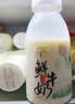 西湖牌低温鲜牛奶260ml*11巴氏杀菌高钙4.0蛋白纯牛奶乳品瓶装源头直发 实拍图