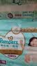 帮宝适新一级帮拉拉裤XXL50+6【全裤散热】超薄透气速干婴儿尿不湿尿裤 实拍图