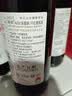 西鸽酒庄N28小瓶女士干红葡萄酒187ml 贺兰山东麓宁夏红酒微醺聚会 实拍图