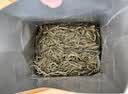 西湖绿茶优选雨前浓香龙井茶传统纸包春茶200g自己喝 实拍图