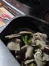云山半 魔芋块500g*2袋 0脂肪魔芋片粉丝素毛肚代餐饱腹关东煮火锅食材 实拍图