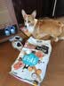 比乐三文鱼鱼油成幼犬全价狗粮15kg【囤货装】 实拍图
