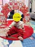 优奇婴儿衣服男女宝宝春秋套装婴幼儿国风唐装百天周岁礼服分体两件套 实拍图