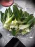 上海青约500g(油菜) 实拍图