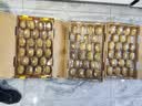 佳沛（zespri）新西兰金奇异果10粒巨大果146-175g猕猴桃水果礼盒 实拍图