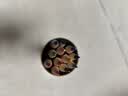 得力（deli）彩铅12色油性彩色铅笔原木六角杆涂色绘画初学者彩绘素描手绘专业学生儿童礼物彩笔开学 实拍图