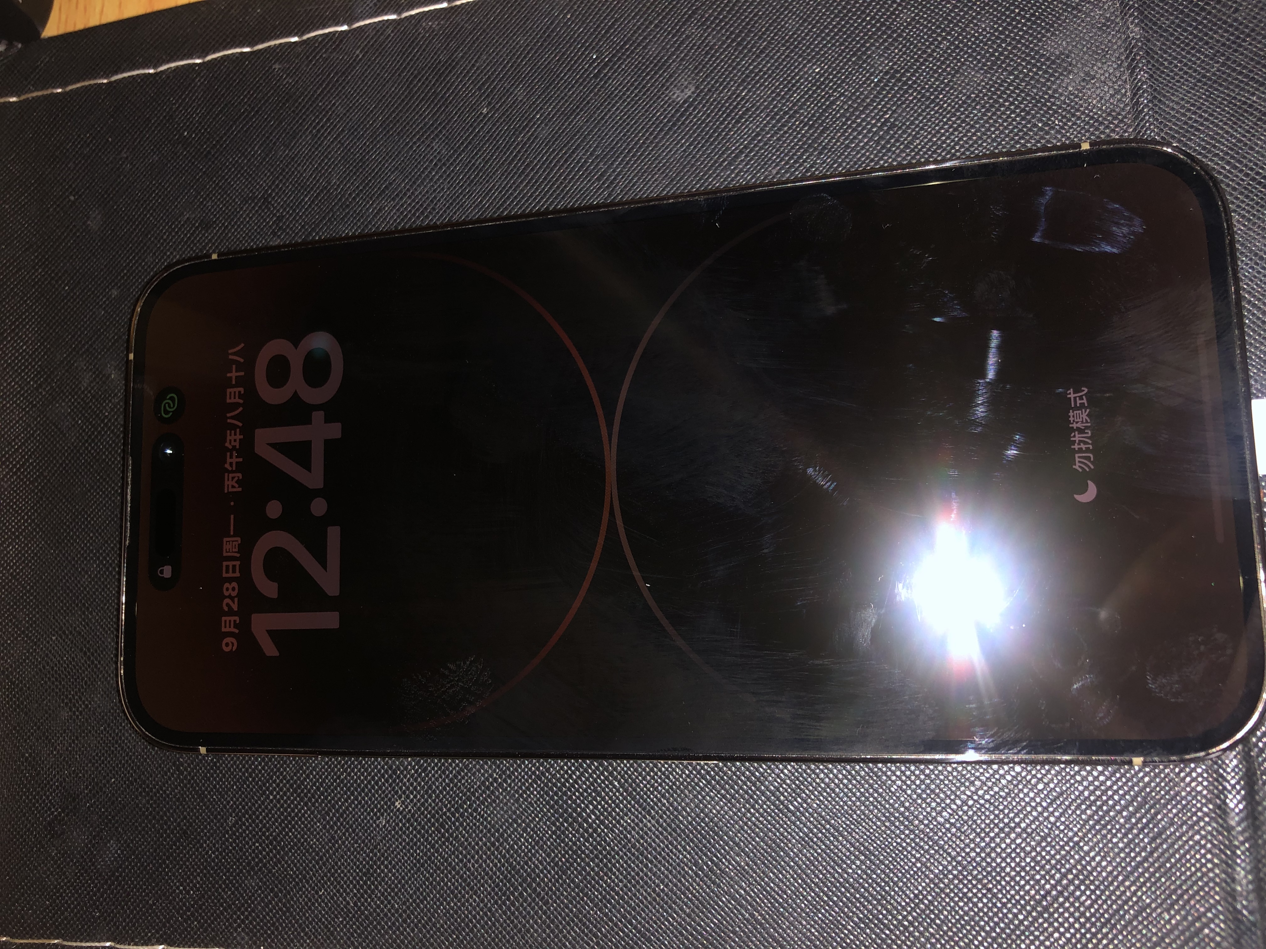 苹果 14ProMax【国行正品】iphone14pro max 双卡双待5G 二手Apple手机 金色【国行正品】 【严选99新】256G【3期免息】 {咨询客服} 加购收藏后领豪礼 实拍图