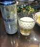 福佳白啤酒500ml*12罐整箱装金奖小麦精酿百威集团京东自营 实拍图
