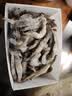 BOWO铂沃厄瓜多尔白虾 净重4斤100-120只/盒进口鲜活盐冻纯虾无包冰 实拍图
