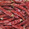 川珍魔鬼椒100g罐装【配料干净】干辣椒印度椒特香特辣炒菜火锅香辛料 实拍图