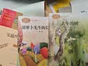 去年的树  三年级上册 新美南吉 人教版课文作家作品系列 语文教材配套读物 同名作品收入中小学语文教科书 实拍图