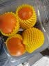 京鲜生南非Sweet C小蜜橘净重500g 单果70g+ 柑橘桔子水果 实拍图