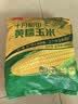 十月稻田 黄糯玉米 8根 3.52斤 真空包装 东北甜粘玉米棒 低脂早餐 实拍图